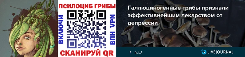blacksprut ссылки  Нефтекамск  Галлюциногенные грибы мухоморы 