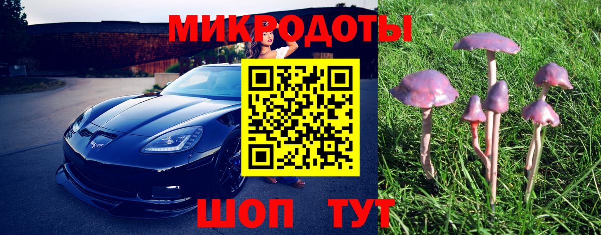 Псилоцибиновые грибы MAGIC MUSHROOMS  Галлюциногенные грибы MAGIC MUSHROOMS  Вход с VPN  где продают наркотики  Нефтекамск 