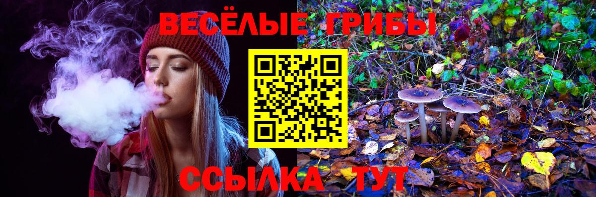 Псилоцибиновые грибы GOLDEN TEACHER Нефтекамск